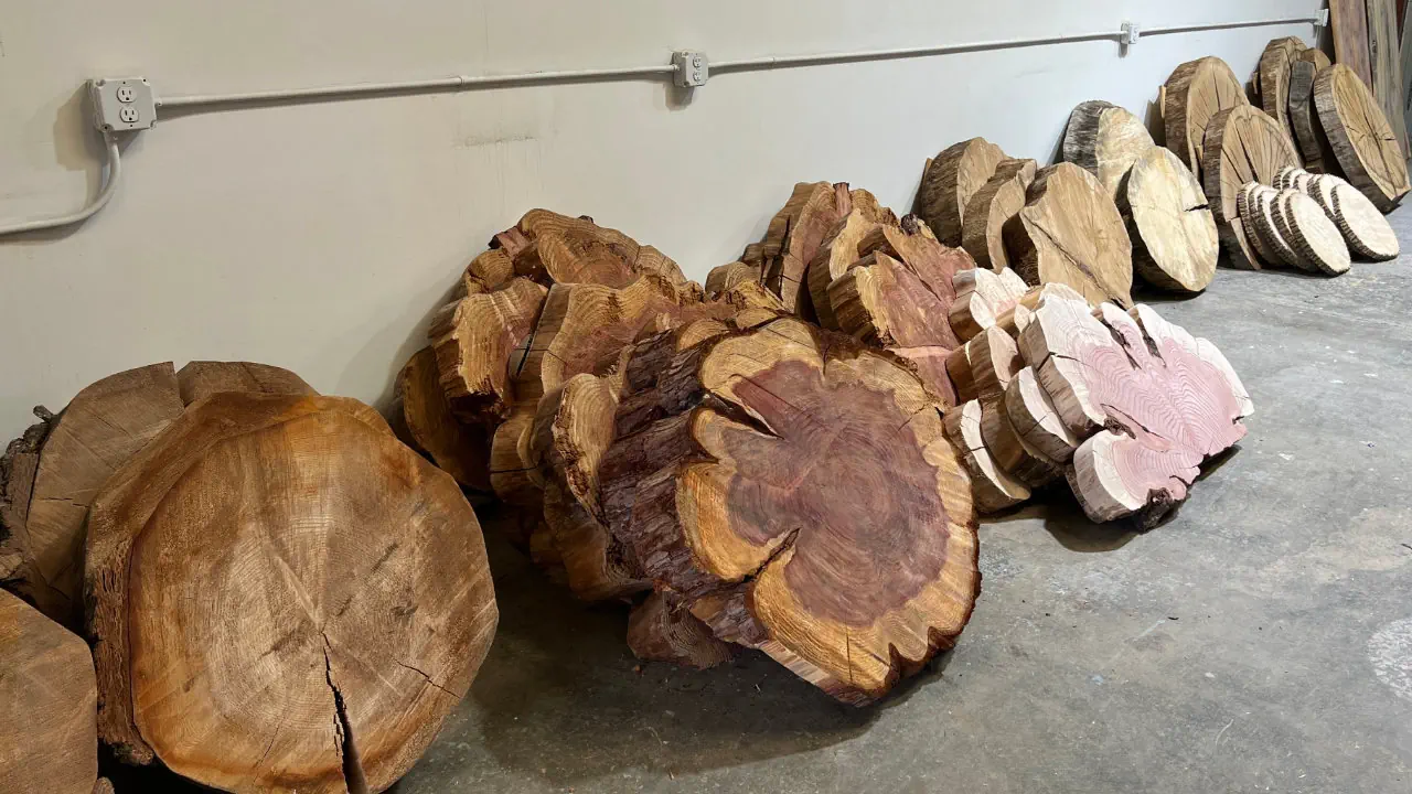 assorted wood cookies organized by size and wood species