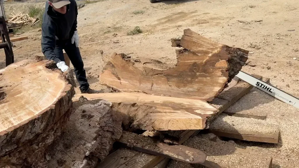 Giant Oak Rootball Converted into Octagon Dining Table