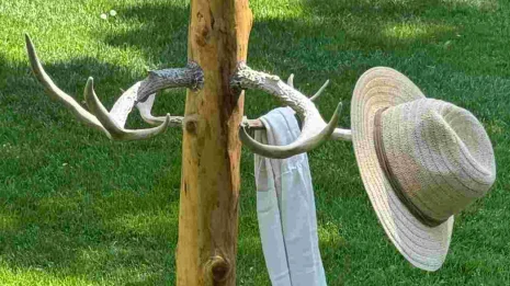 Pine Coat Rack Antlers